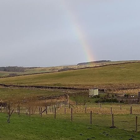 The Buteland Stop Rosie Off Grid Shepherds Hut Bellingham Exteriér fotografie