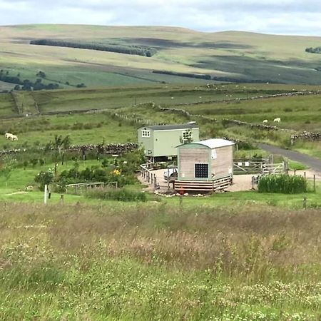 The Buteland Stop Rosie Off Grid Shepherds Hut Bellingham Exteriér fotografie