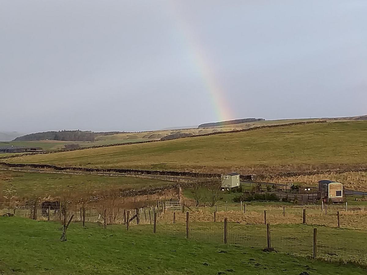 The Buteland Stop Rosie Off Grid Shepherds Hut Bellingham Exteriér fotografie