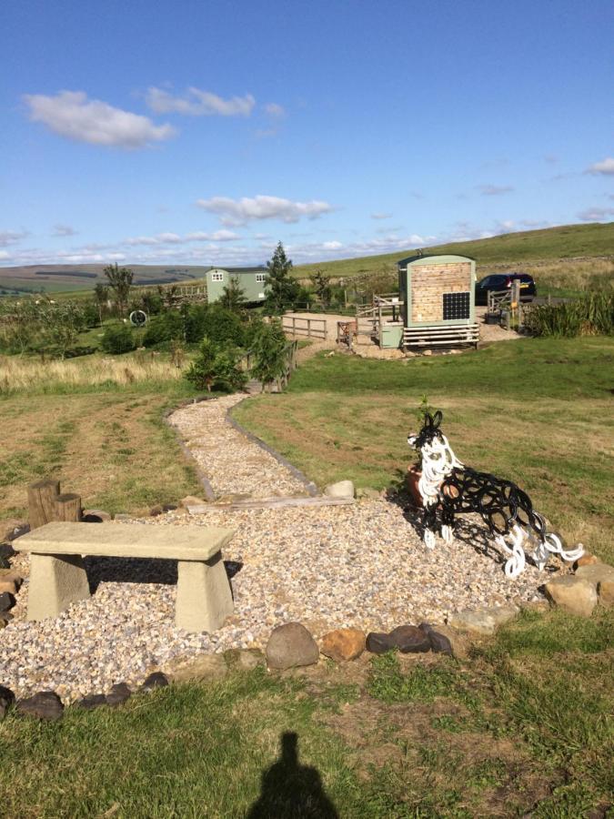 The Buteland Stop Rosie Off Grid Shepherds Hut Bellingham Exteriér fotografie