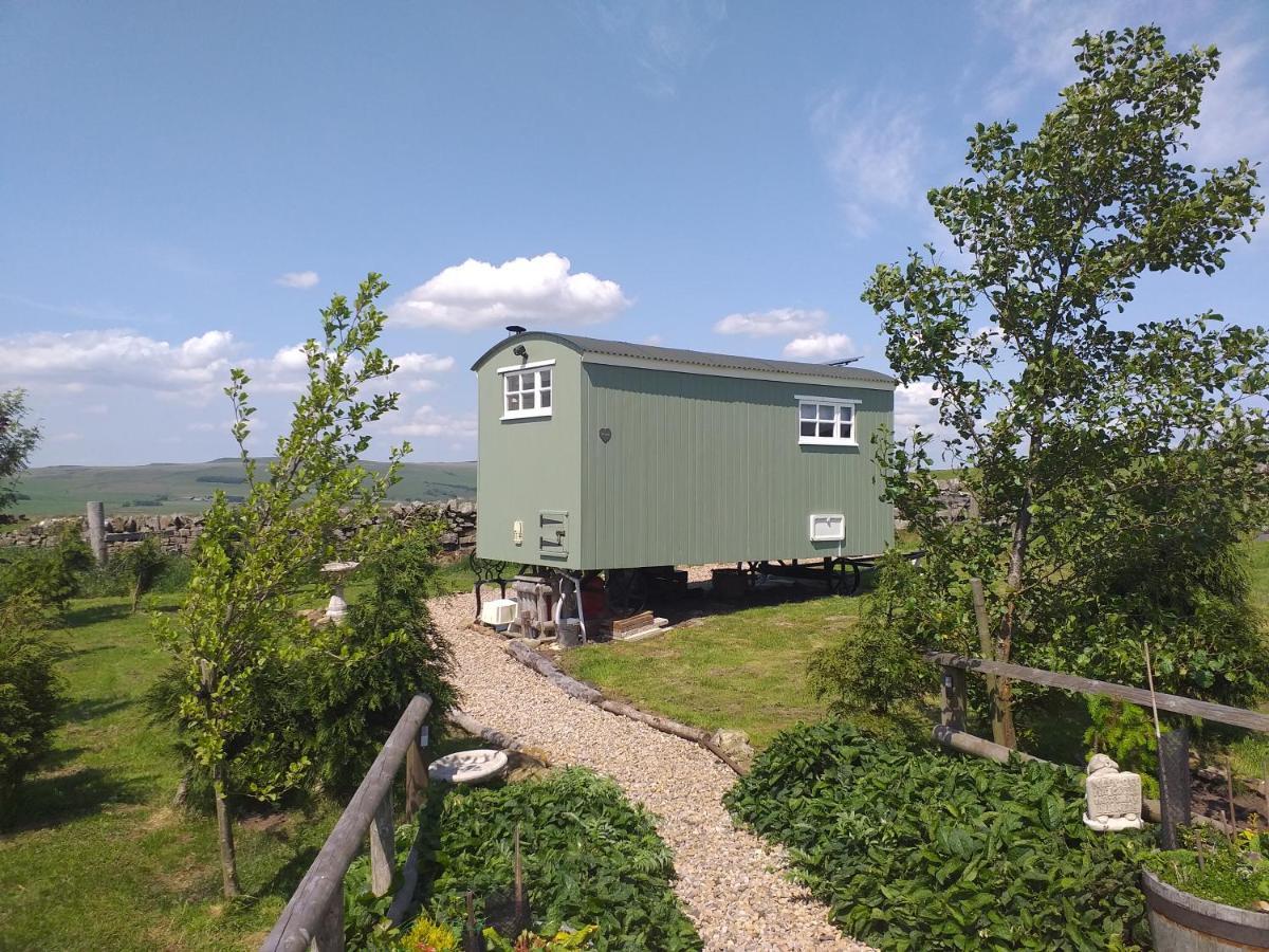 The Buteland Stop Rosie Off Grid Shepherds Hut Bellingham Exteriér fotografie