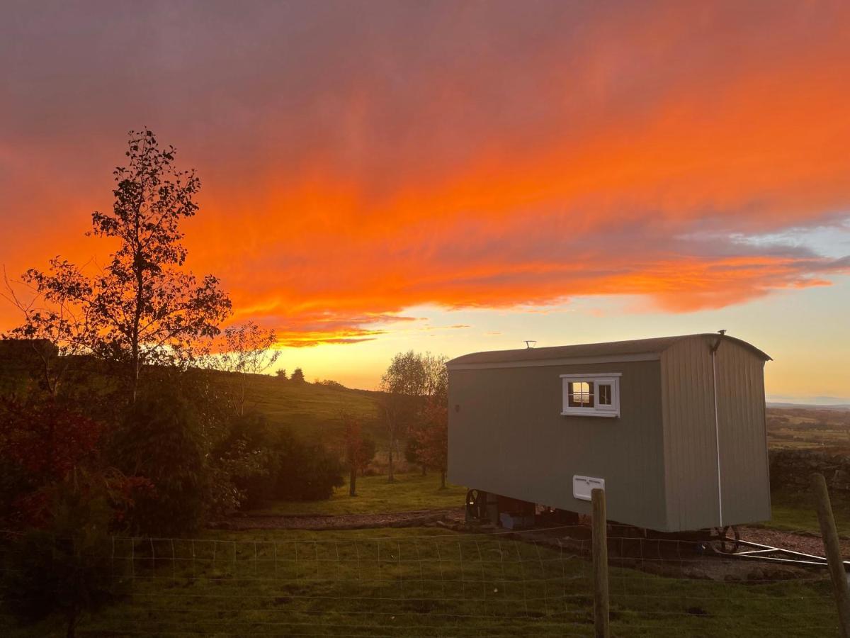 The Buteland Stop Rosie Off Grid Shepherds Hut Bellingham Exteriér fotografie