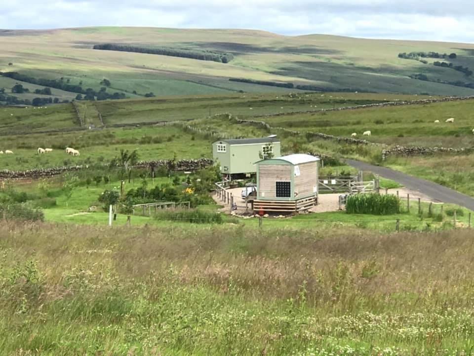The Buteland Stop Rosie Off Grid Shepherds Hut Bellingham Exteriér fotografie