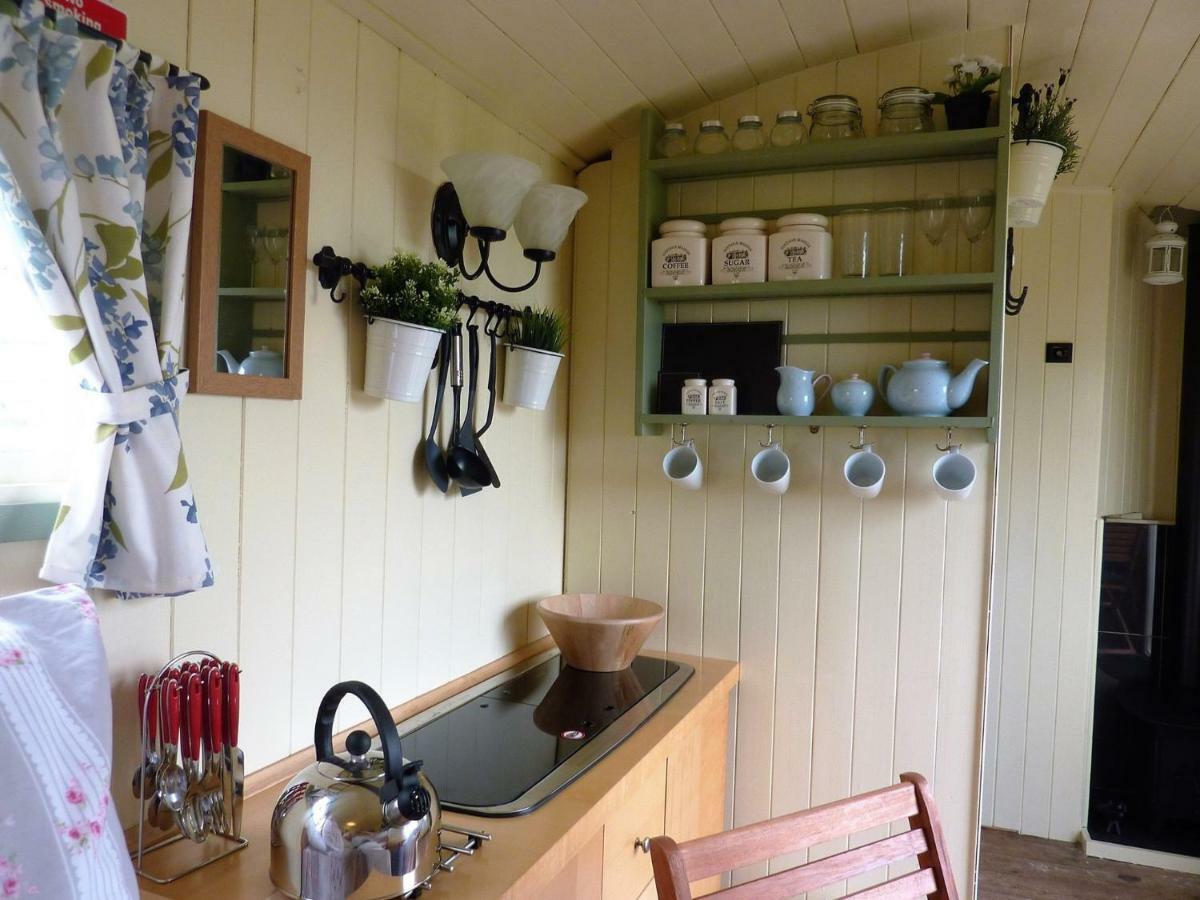 The Buteland Stop Rosie Off Grid Shepherds Hut Bellingham Exteriér fotografie