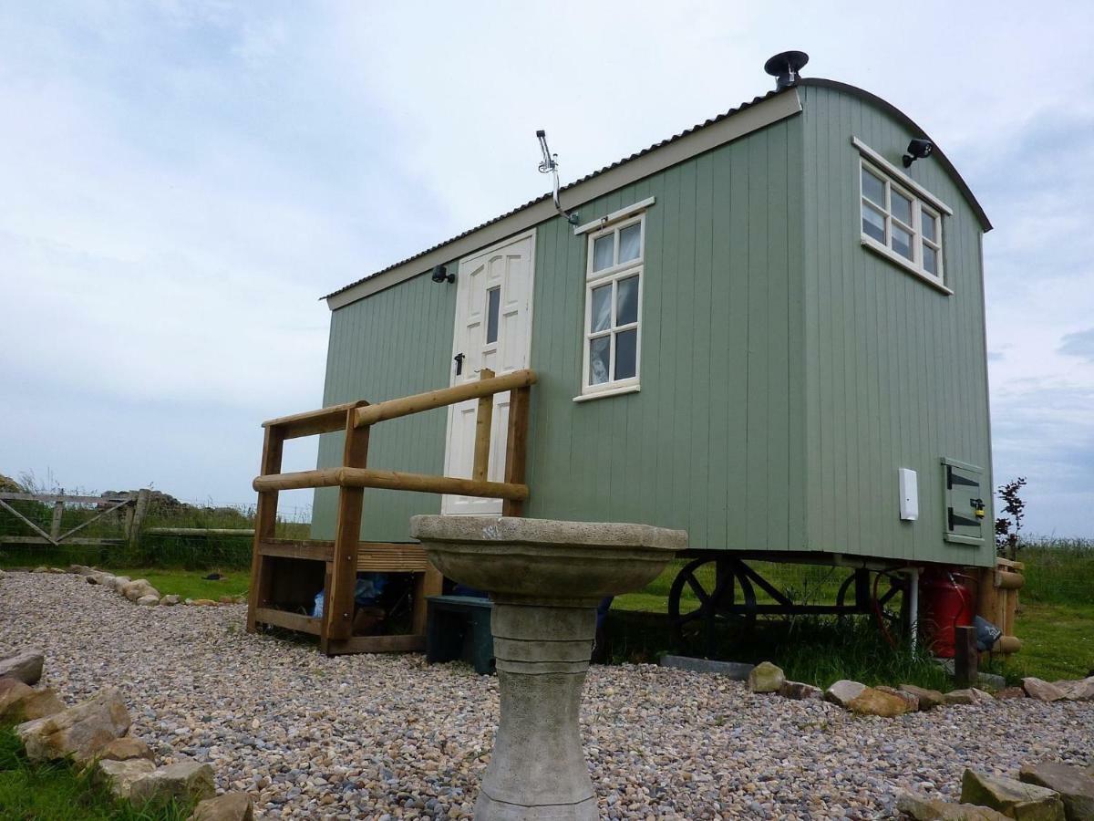 The Buteland Stop Rosie Off Grid Shepherds Hut Bellingham Exteriér fotografie