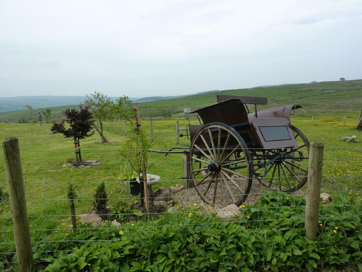 The Buteland Stop Rosie Off Grid Shepherds Hut Bellingham Exteriér fotografie