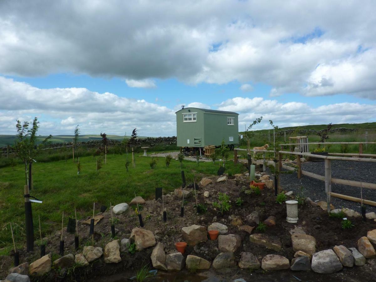 The Buteland Stop Rosie Off Grid Shepherds Hut Bellingham Exteriér fotografie
