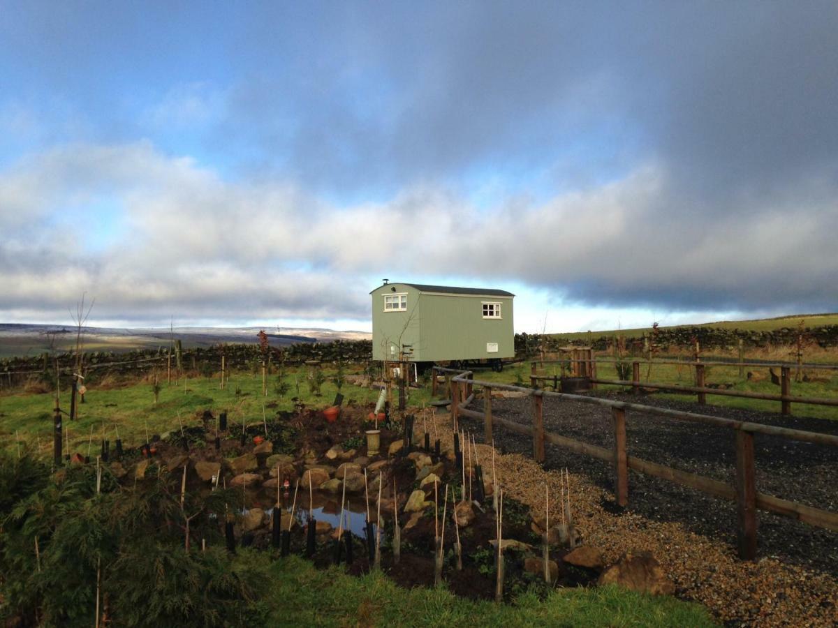 The Buteland Stop Rosie Off Grid Shepherds Hut Bellingham Exteriér fotografie