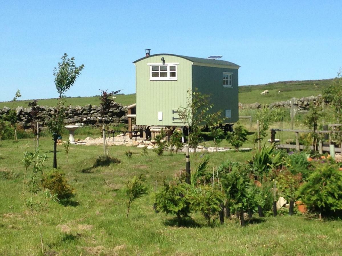 The Buteland Stop Rosie Off Grid Shepherds Hut Bellingham Exteriér fotografie