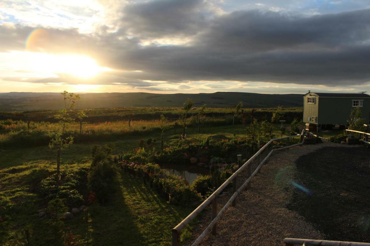 The Buteland Stop Rosie Off Grid Shepherds Hut Bellingham Exteriér fotografie
