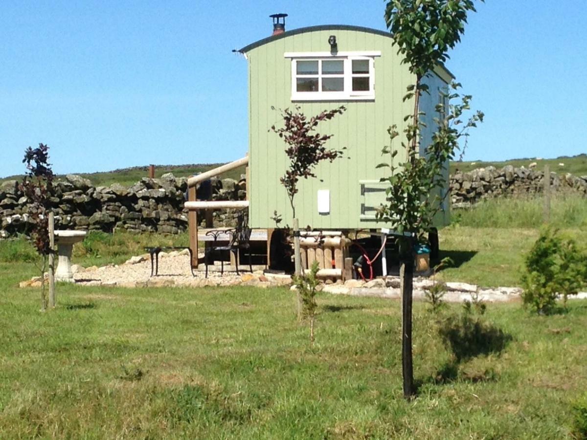 The Buteland Stop Rosie Off Grid Shepherds Hut Bellingham Exteriér fotografie